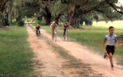 Run Forrest Run!